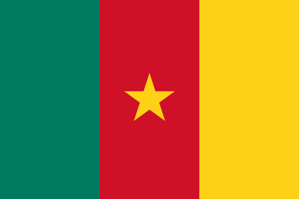 Cameroon flag