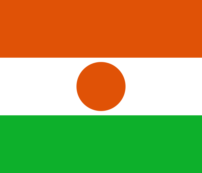 Niger flag